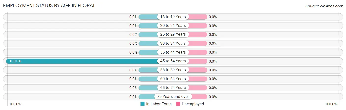 Employment Status by Age in Floral