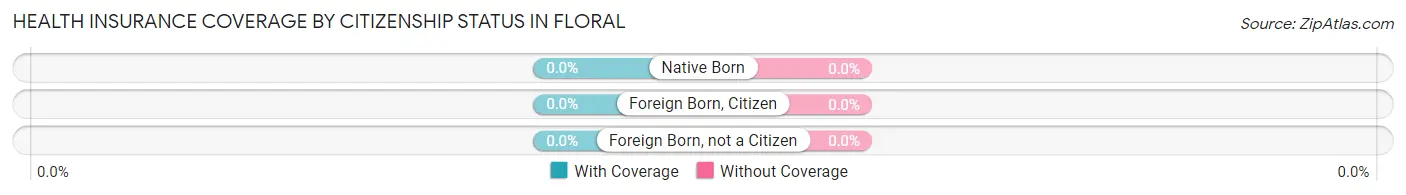 Health Insurance Coverage by Citizenship Status in Floral