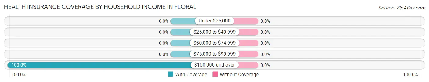 Health Insurance Coverage by Household Income in Floral