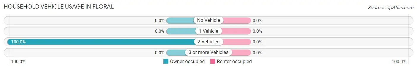 Household Vehicle Usage in Floral