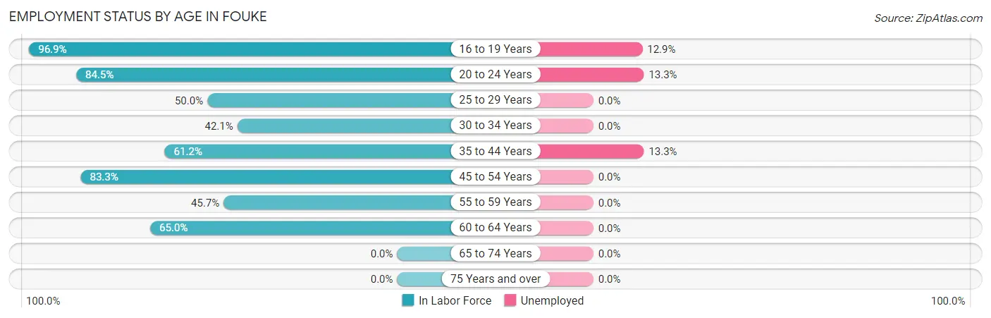Employment Status by Age in Fouke