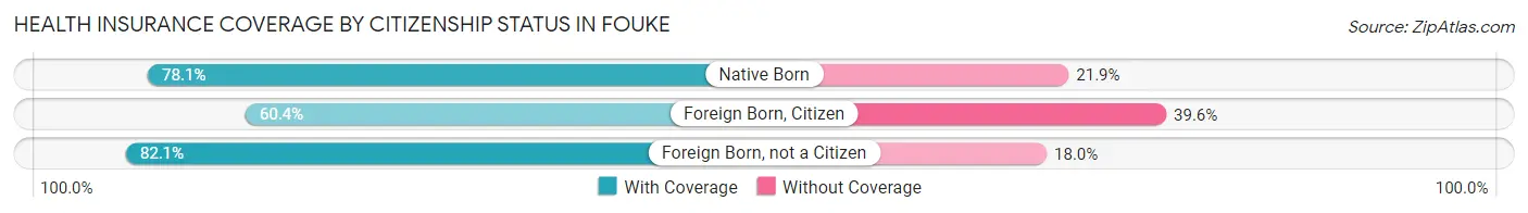 Health Insurance Coverage by Citizenship Status in Fouke