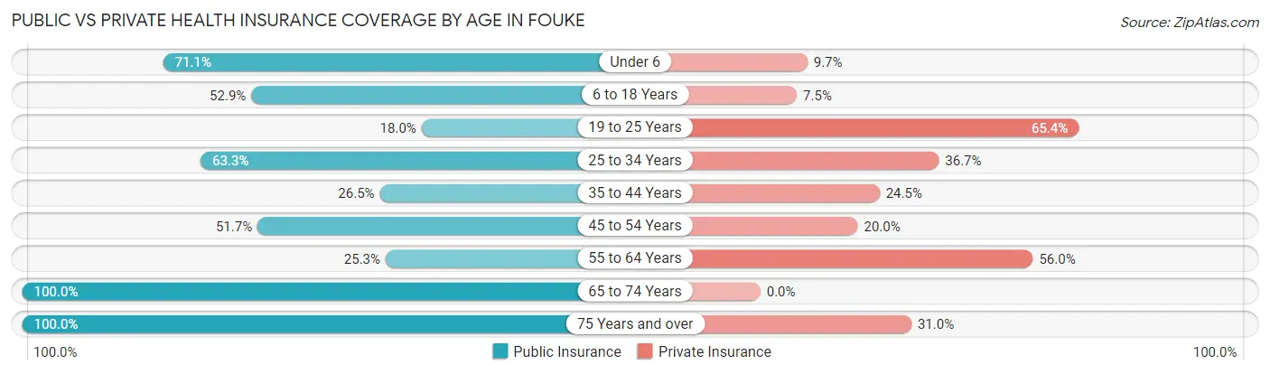 Public vs Private Health Insurance Coverage by Age in Fouke