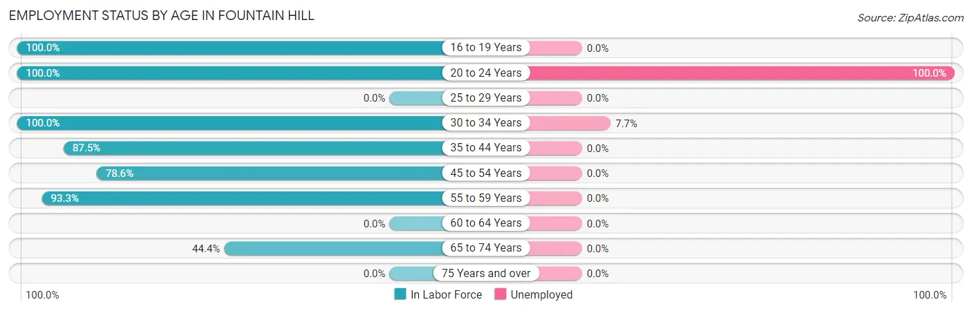 Employment Status by Age in Fountain Hill