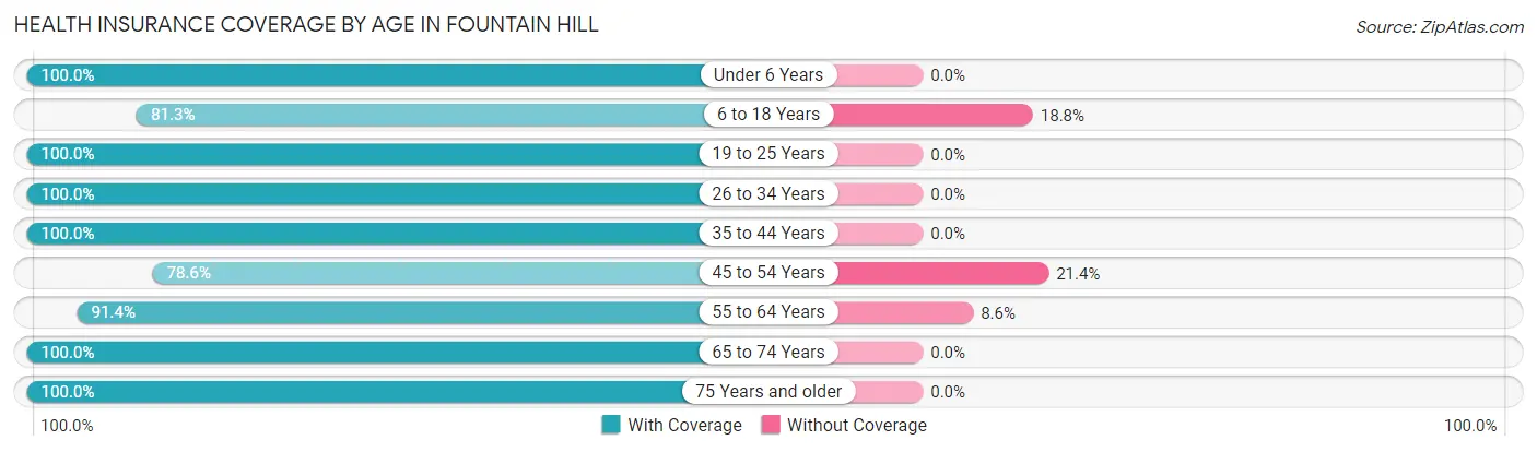 Health Insurance Coverage by Age in Fountain Hill