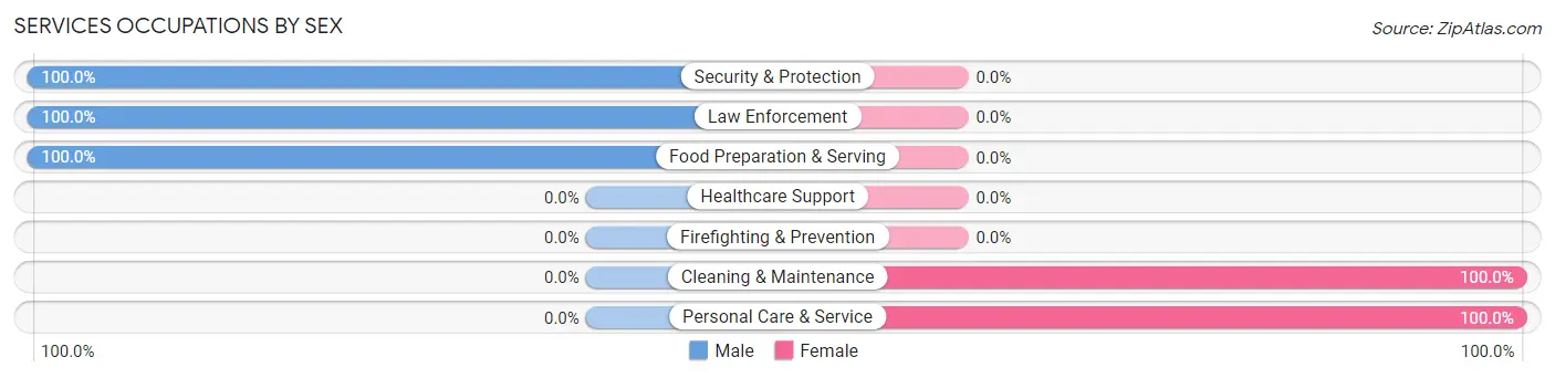 Services Occupations by Sex in Fountain Hill
