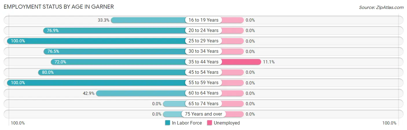 Employment Status by Age in Garner