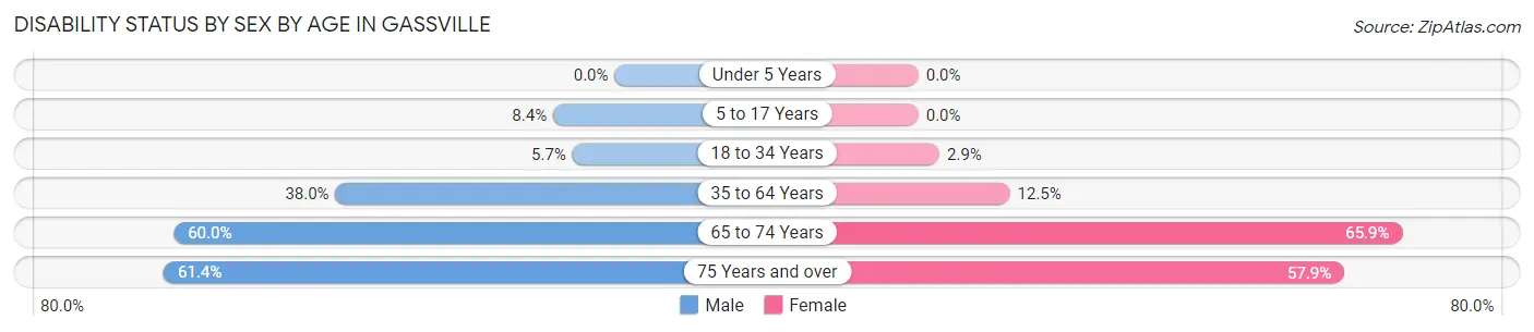 Disability Status by Sex by Age in Gassville