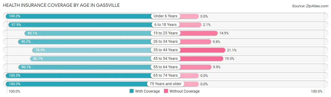 Health Insurance Coverage by Age in Gassville