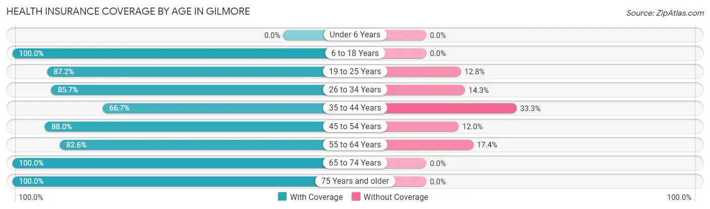 Health Insurance Coverage by Age in Gilmore