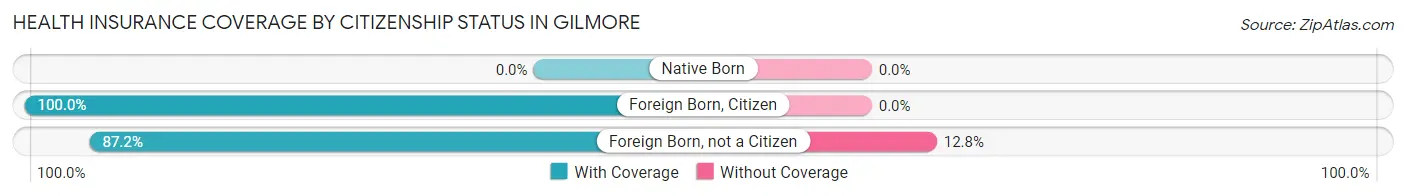 Health Insurance Coverage by Citizenship Status in Gilmore