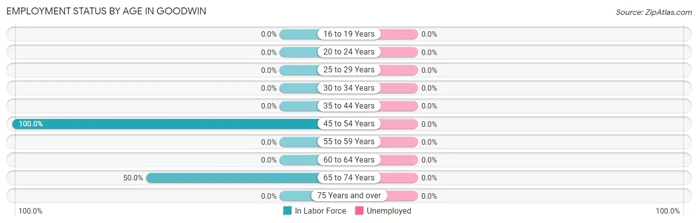 Employment Status by Age in Goodwin
