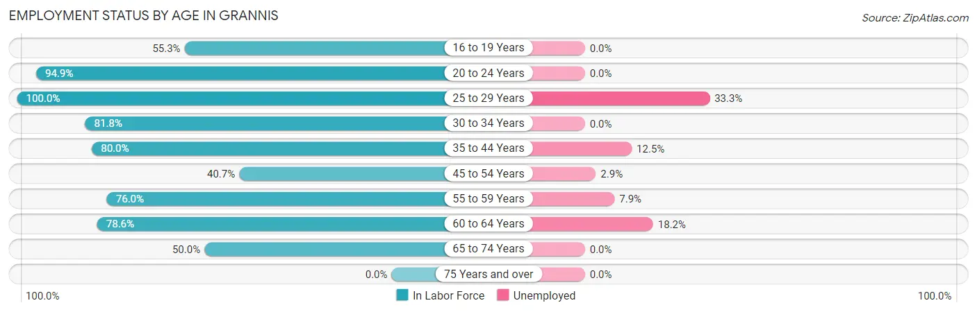Employment Status by Age in Grannis