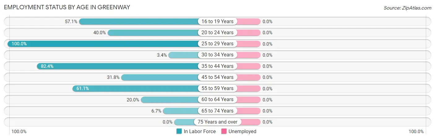 Employment Status by Age in Greenway