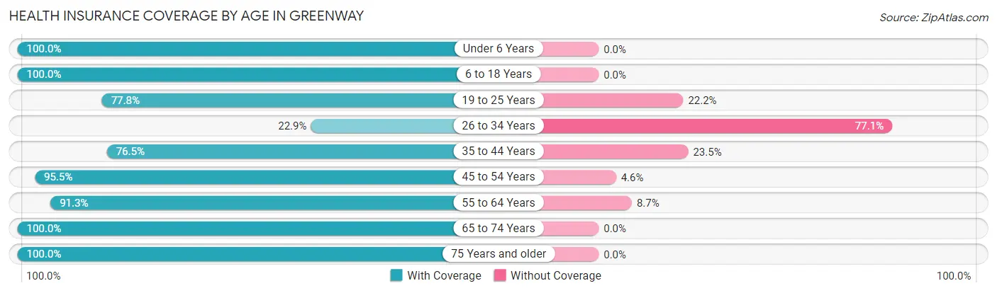 Health Insurance Coverage by Age in Greenway