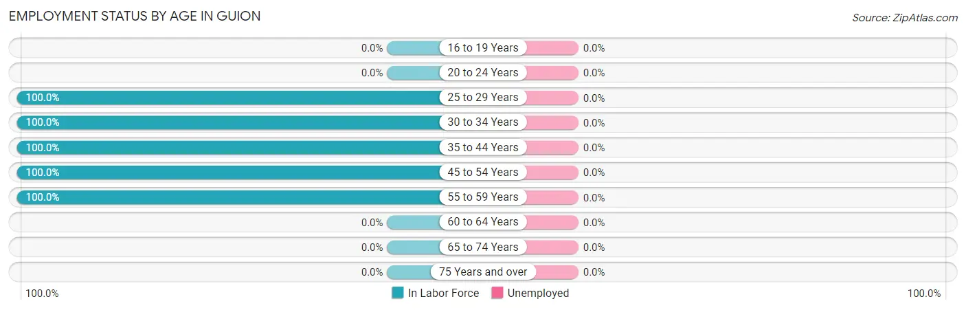 Employment Status by Age in Guion