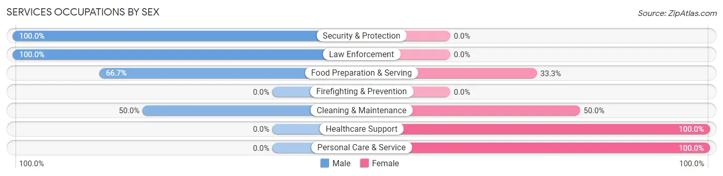 Services Occupations by Sex in Guy