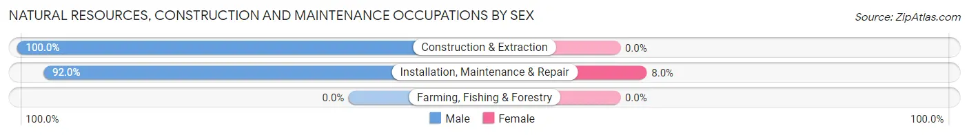 Natural Resources, Construction and Maintenance Occupations by Sex in Hackett
