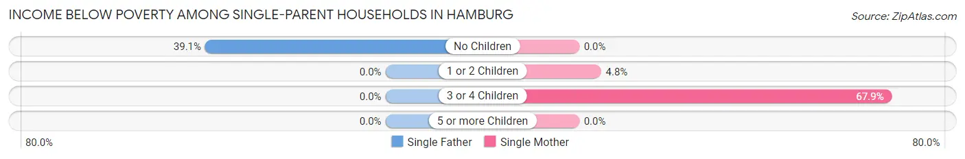 Income Below Poverty Among Single-Parent Households in Hamburg