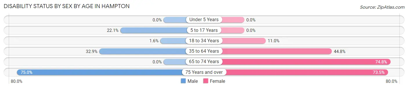 Disability Status by Sex by Age in Hampton