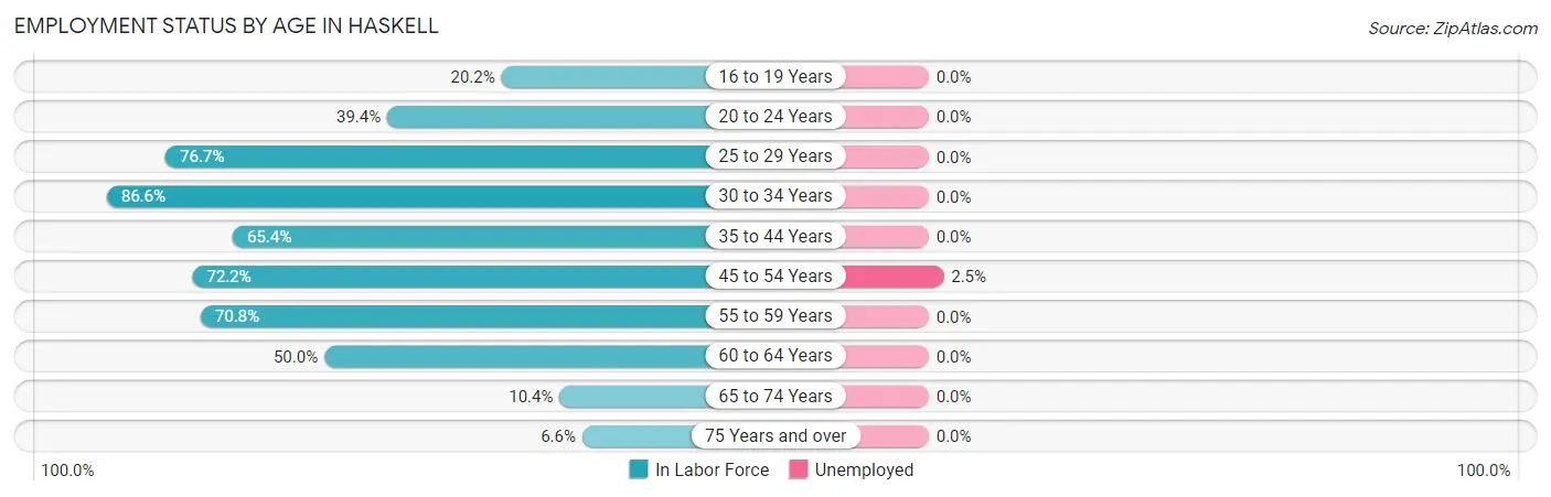 Employment Status by Age in Haskell