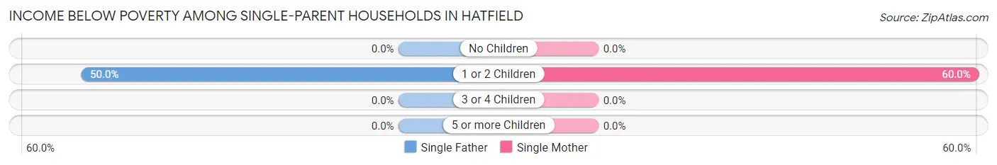 Income Below Poverty Among Single-Parent Households in Hatfield