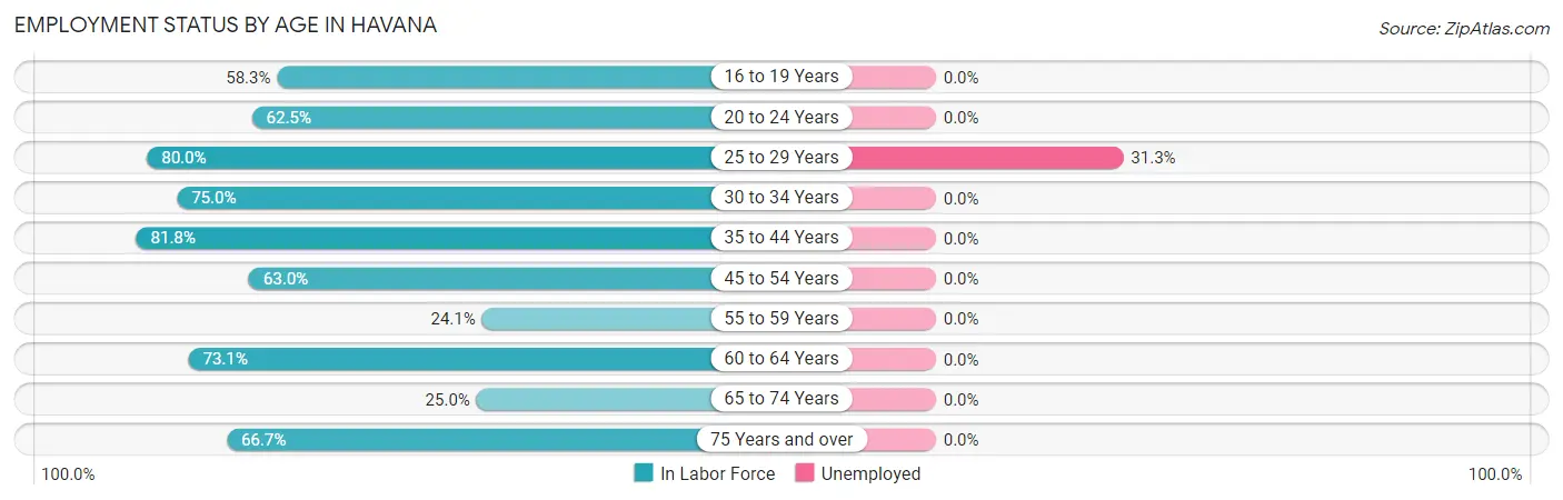 Employment Status by Age in Havana