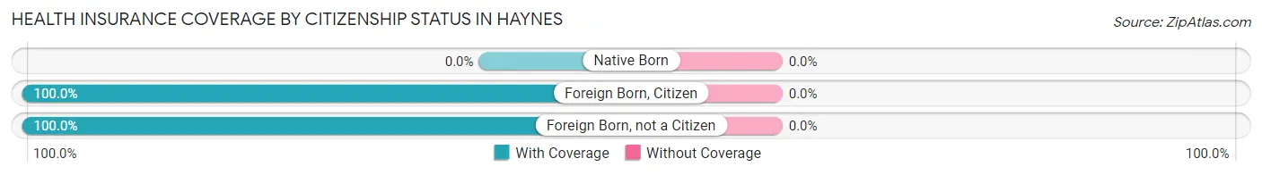 Health Insurance Coverage by Citizenship Status in Haynes