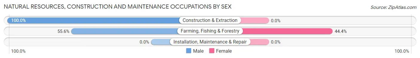 Natural Resources, Construction and Maintenance Occupations by Sex in Hazen