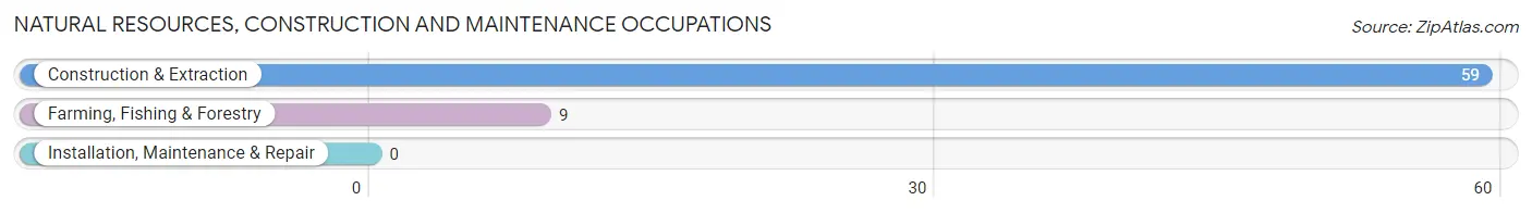 Natural Resources, Construction and Maintenance Occupations in Hazen