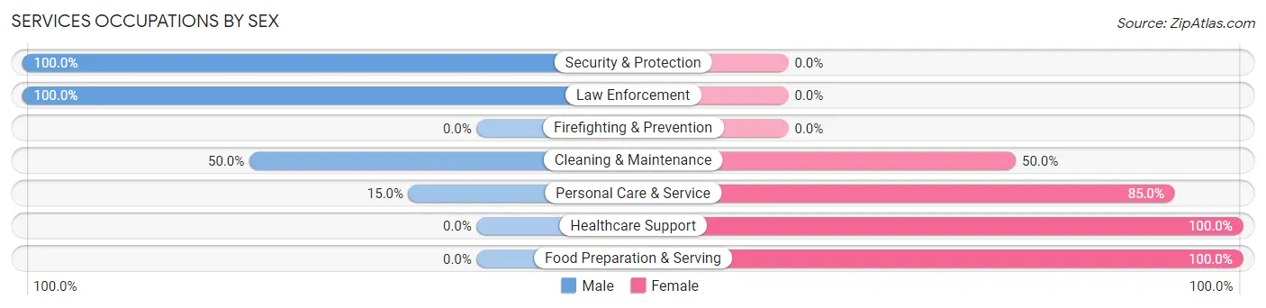 Services Occupations by Sex in Hazen