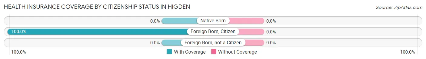 Health Insurance Coverage by Citizenship Status in Higden