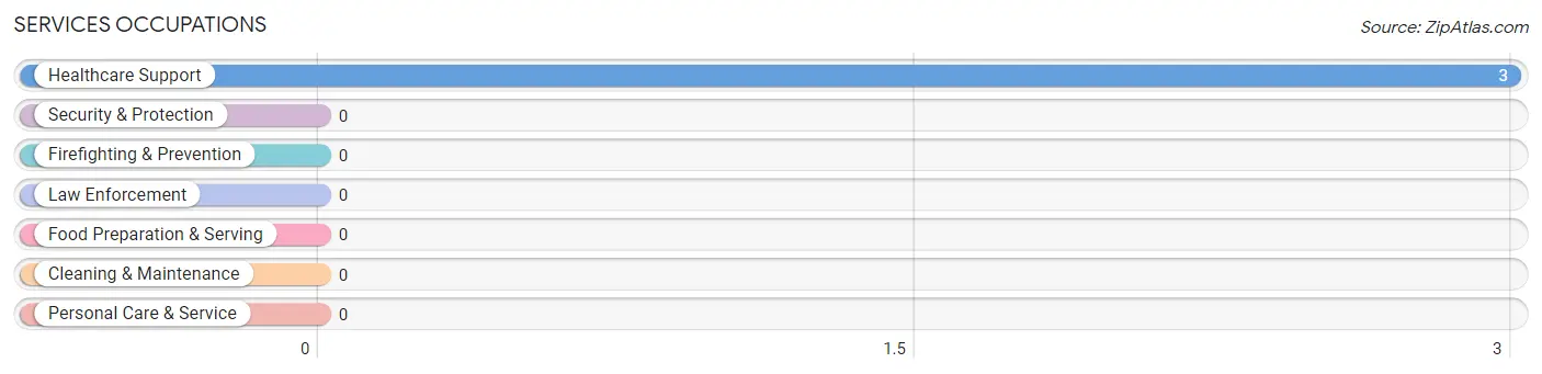 Services Occupations in Higden