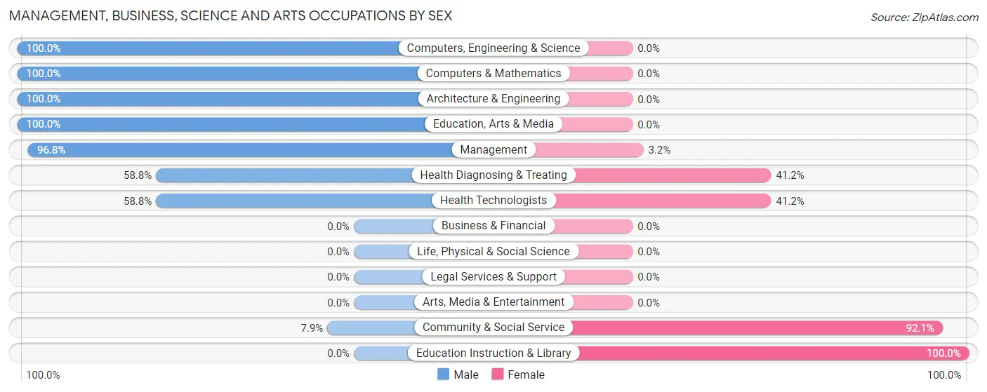 Management, Business, Science and Arts Occupations by Sex in Higginson