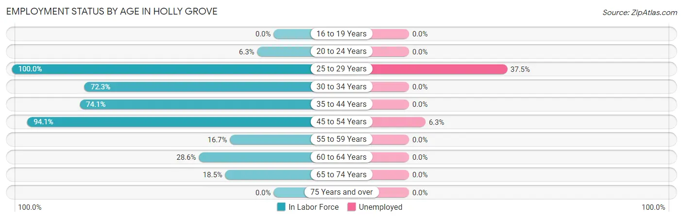Employment Status by Age in Holly Grove