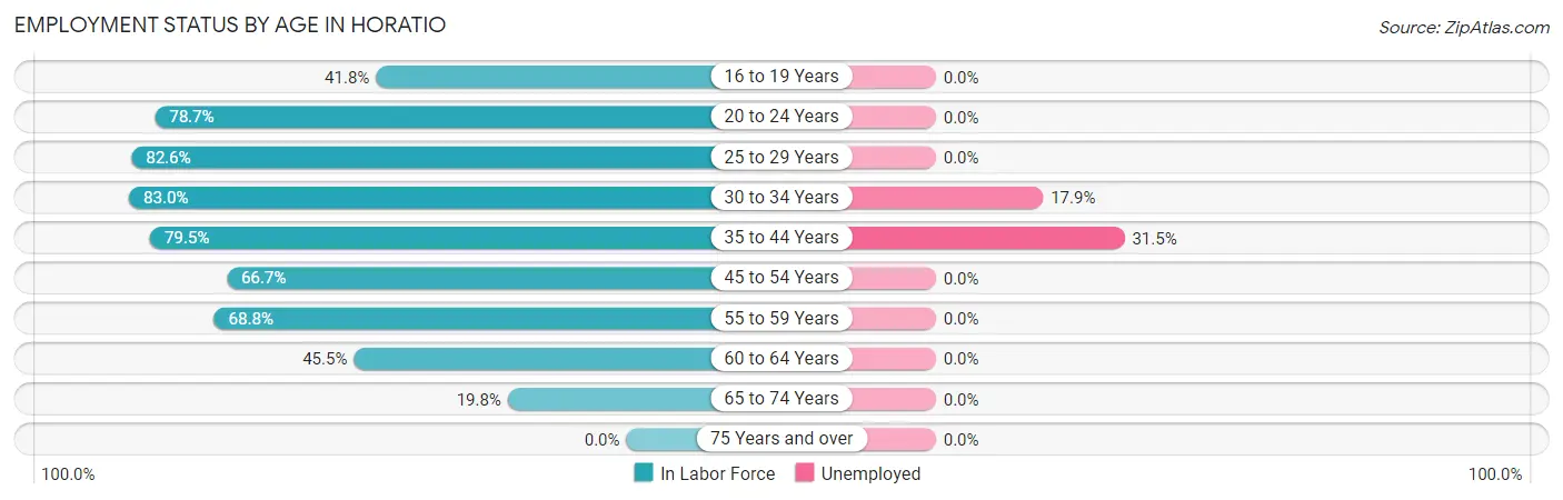 Employment Status by Age in Horatio