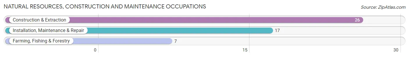 Natural Resources, Construction and Maintenance Occupations in Horatio