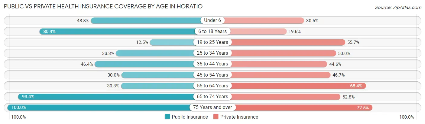 Public vs Private Health Insurance Coverage by Age in Horatio