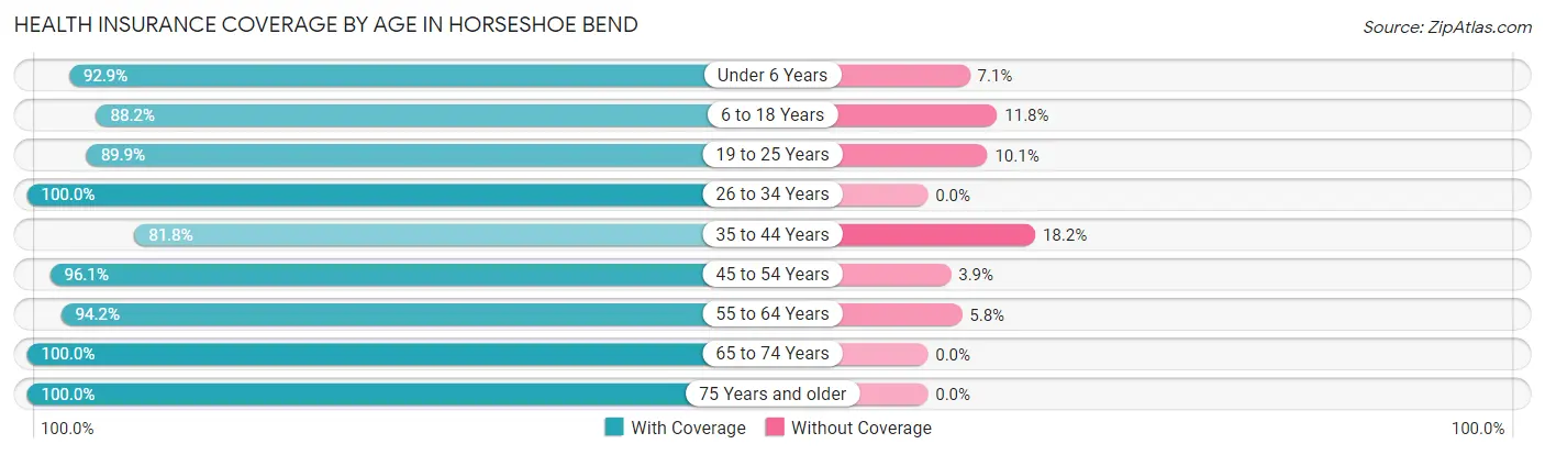 Health Insurance Coverage by Age in Horseshoe Bend