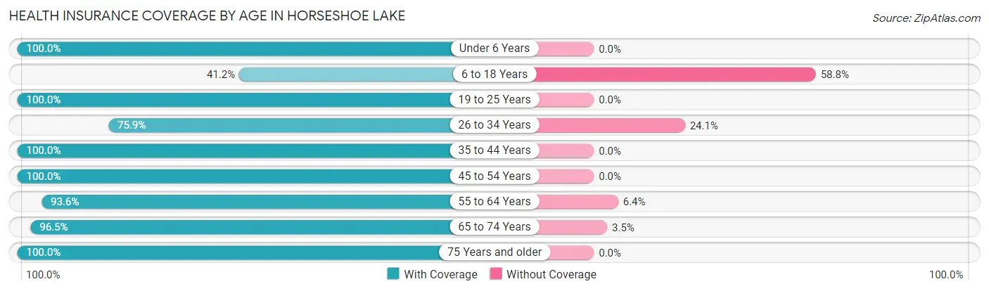 Health Insurance Coverage by Age in Horseshoe Lake