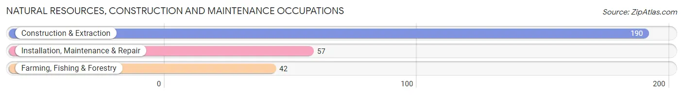 Natural Resources, Construction and Maintenance Occupations in Hot Springs Village