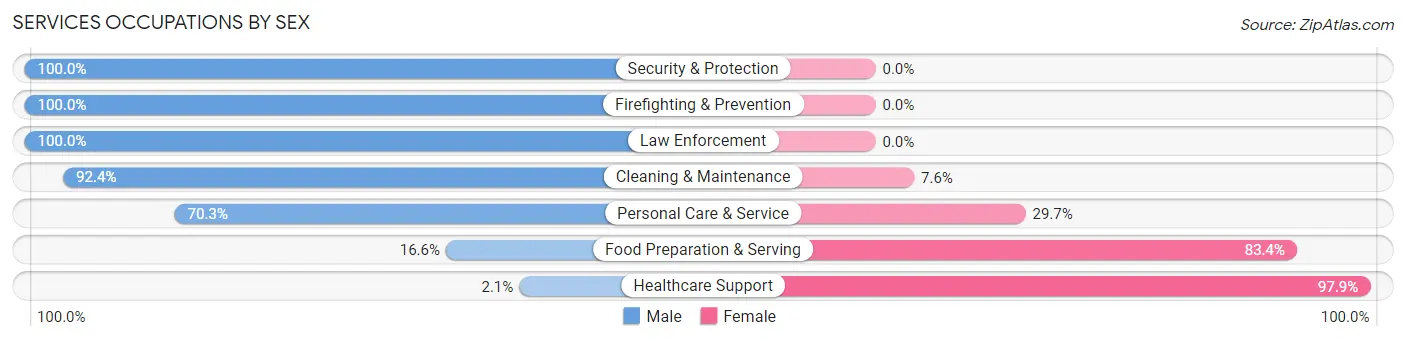 Services Occupations by Sex in Hot Springs Village