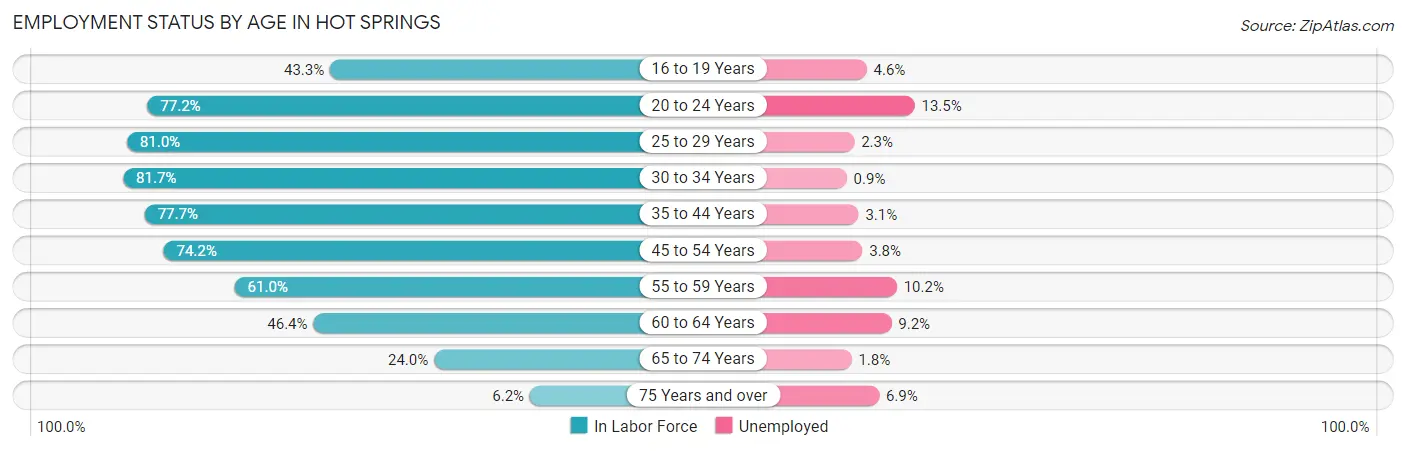 Employment Status by Age in Hot Springs