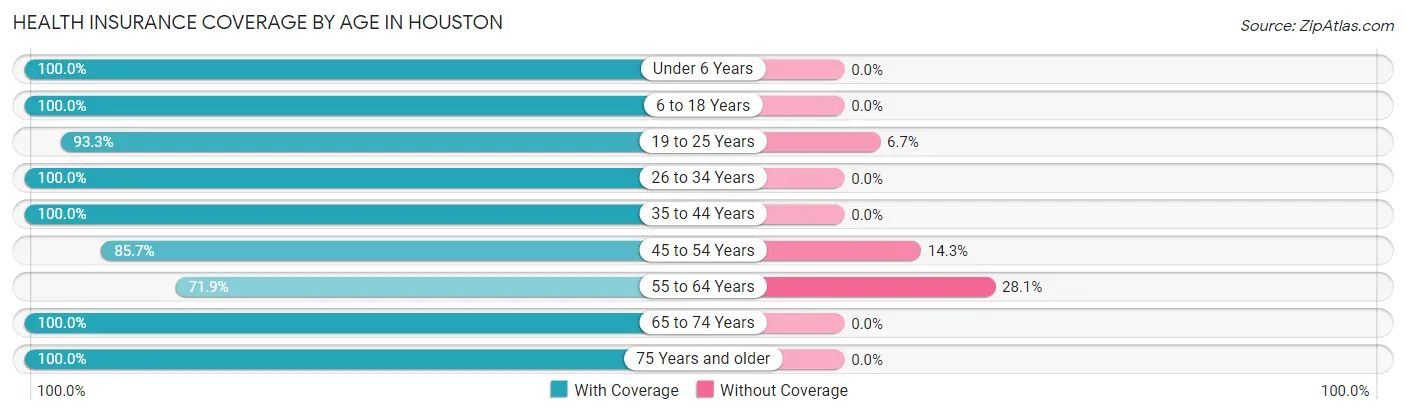 Health Insurance Coverage by Age in Houston