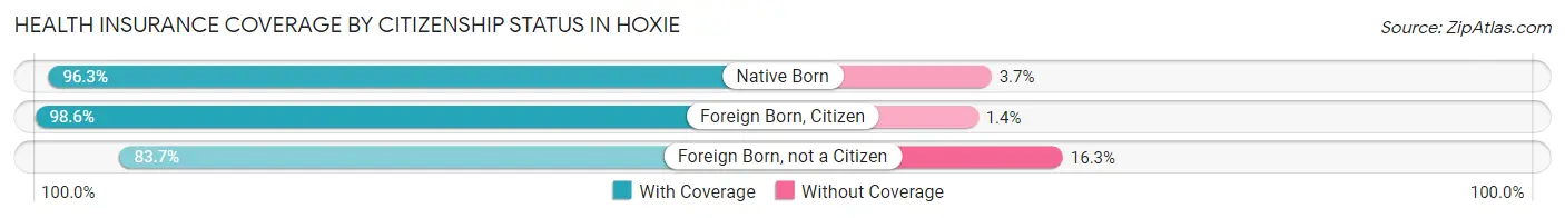 Health Insurance Coverage by Citizenship Status in Hoxie