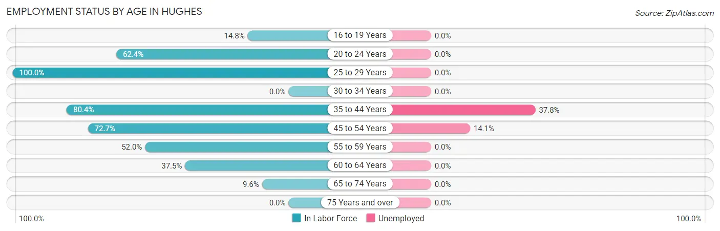 Employment Status by Age in Hughes