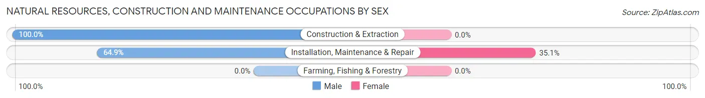 Natural Resources, Construction and Maintenance Occupations by Sex in Hughes