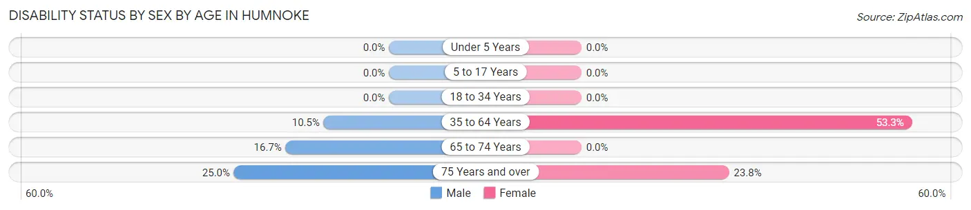 Disability Status by Sex by Age in Humnoke