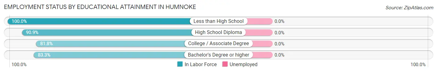Employment Status by Educational Attainment in Humnoke