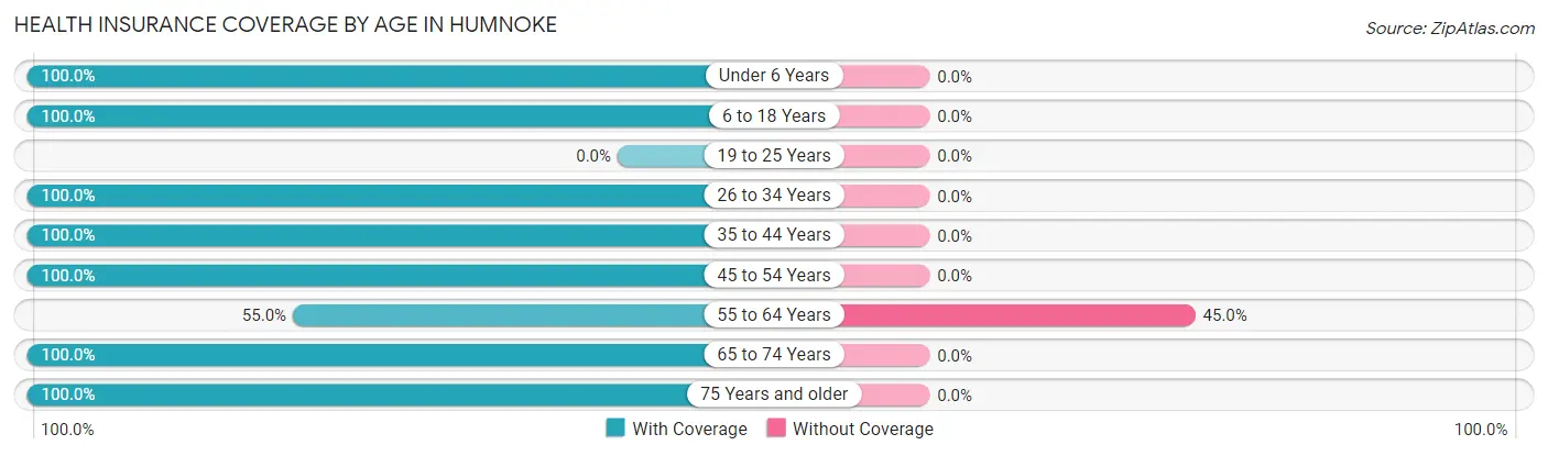 Health Insurance Coverage by Age in Humnoke